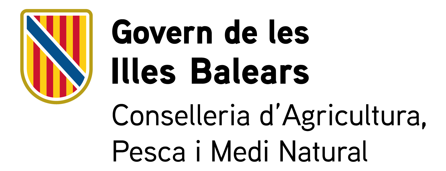 CSS _DGD_COL.png