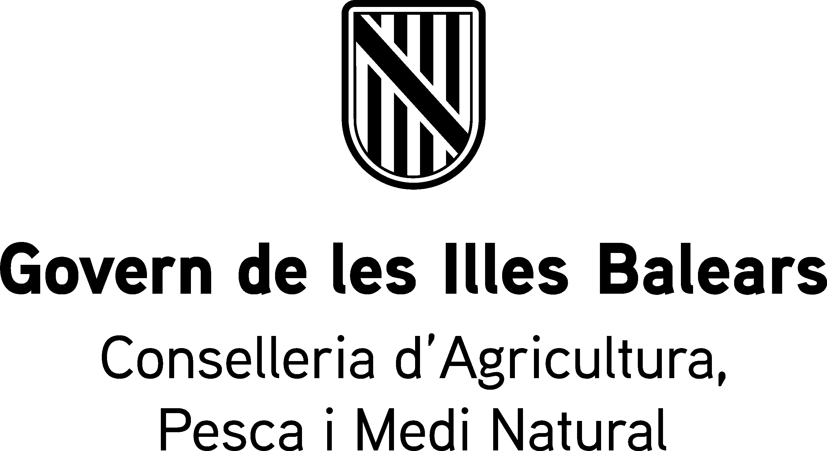 CSS _DGD_BN.png