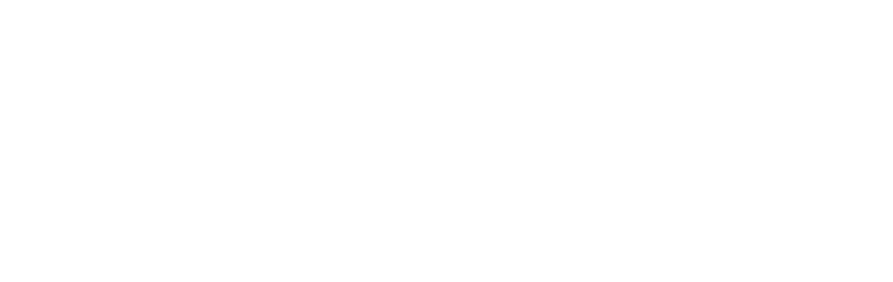 CSS _DGD_NBN.png