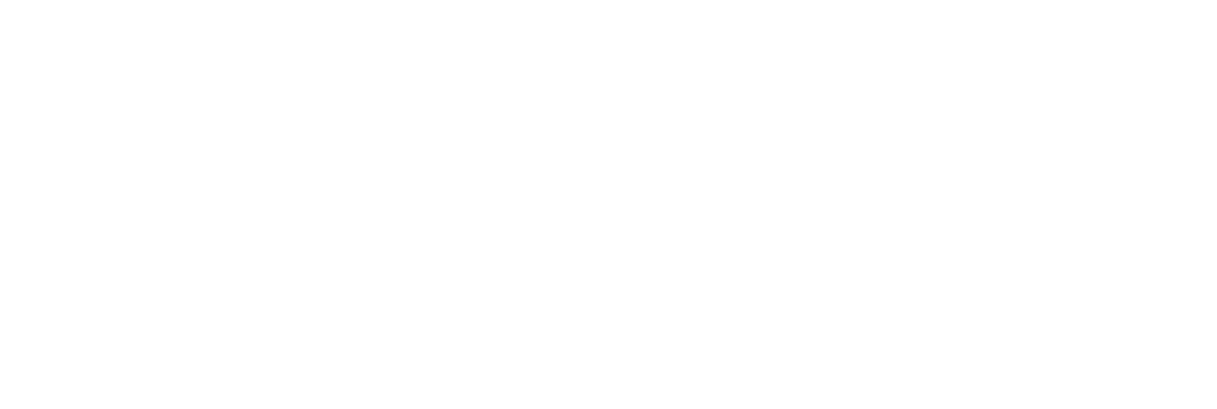 CSS _DGD_NBN.png