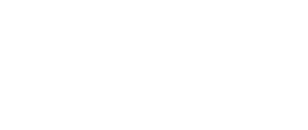 CSS _DGD_NBN.png