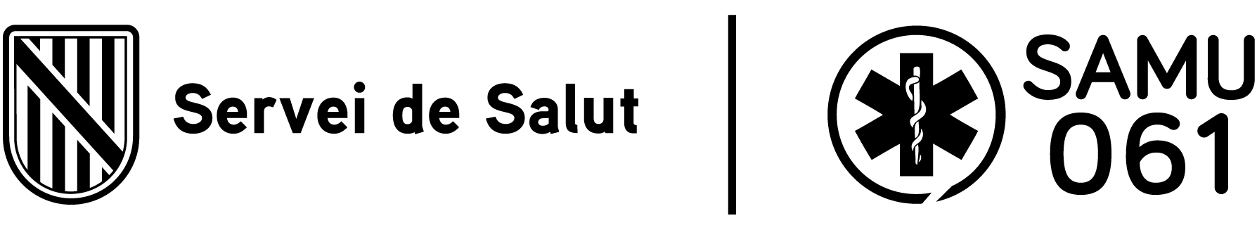 CSS_DGD_BN.png