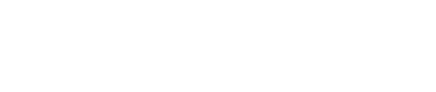 CSS _DGD_NBN.png