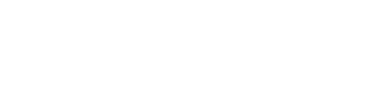 CSS _DGD_NBN.png