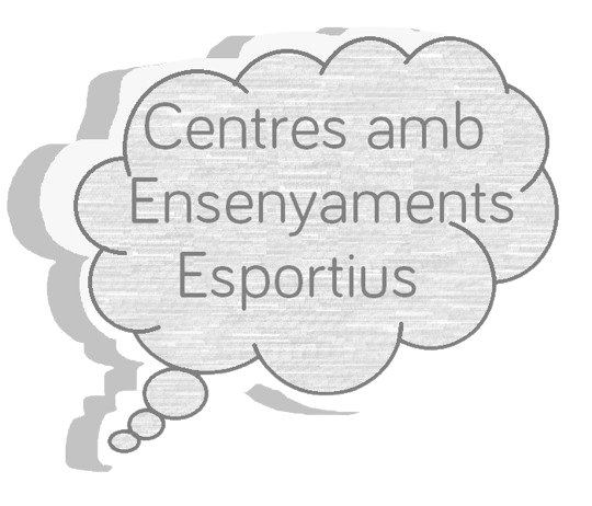 desc_ENSENYAMENTS ESPORTIUS_OMBRA_CAT.jpg