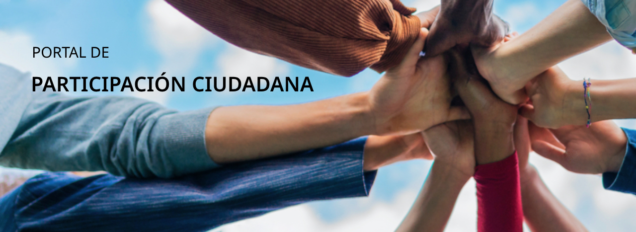 Portal Participaci&oacute;n ciudadana