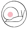 desc_LOGO_CARACOLES_FONDO_BLANCO.png
