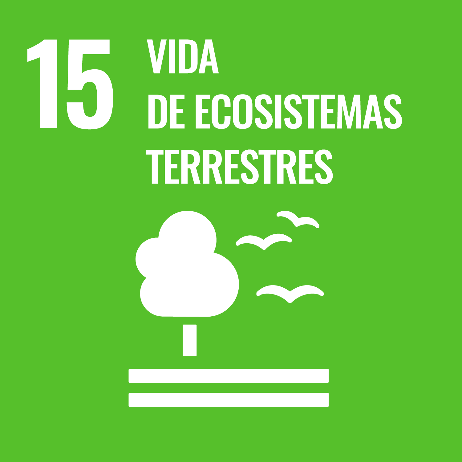 desc_2-hambre-cero-15.png