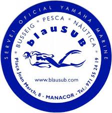 desc_Logo Blausub.jpg
