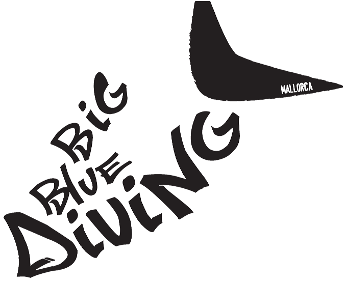 logo_big_blue_diving.png