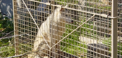 desc_CAPTURADO2.JPG