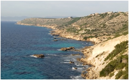 Autoritzacions de pesca submarina a les reserves marines de la Badia de Palma i del Migjorn de Mallorca