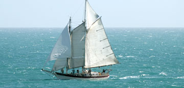 Velero