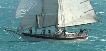 Velero