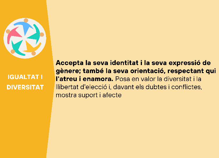 Infografia igualtat i diversitat