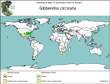 Mapa de distribució de l'espècie (OEPP)