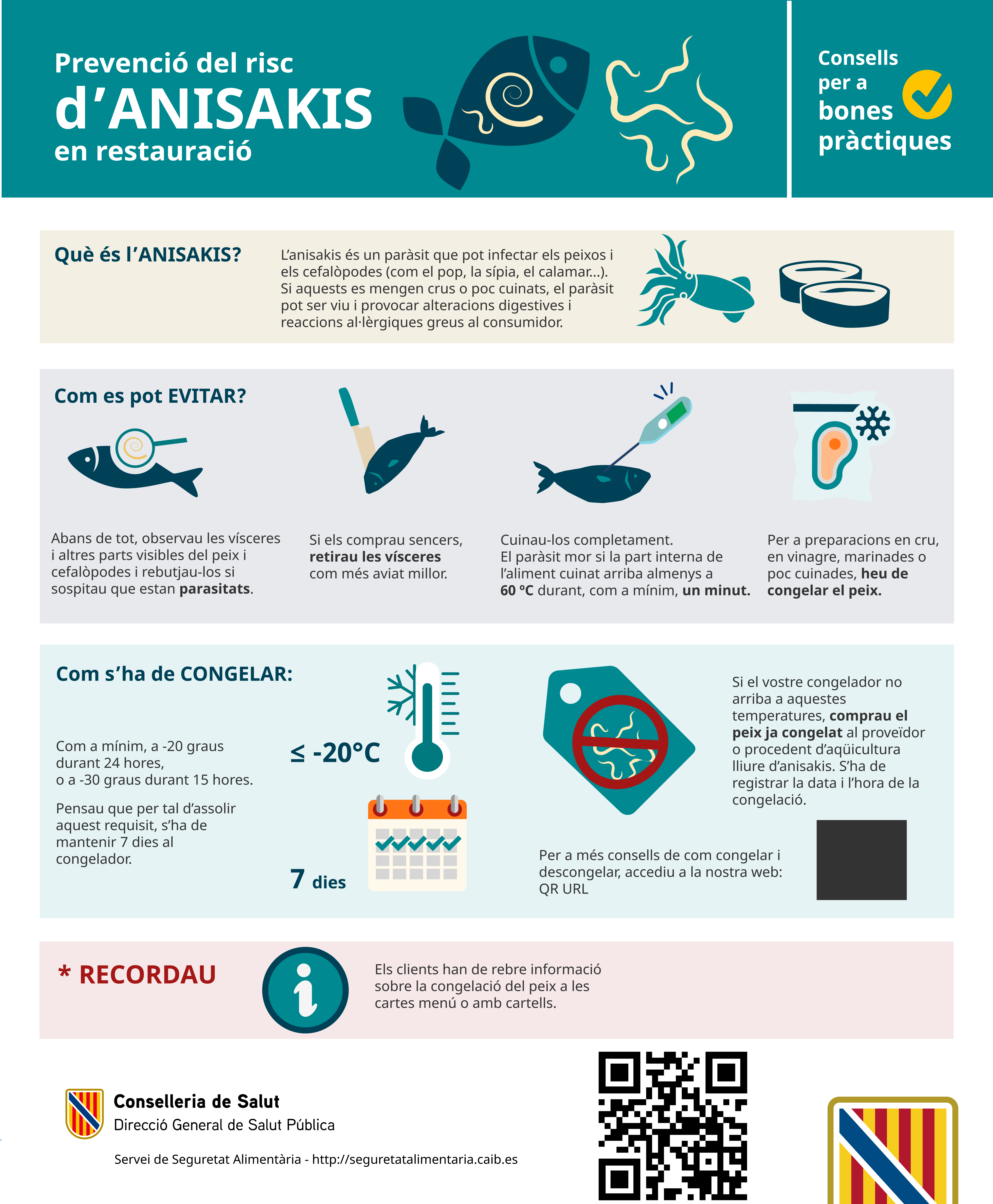 Cartell anisakis cat