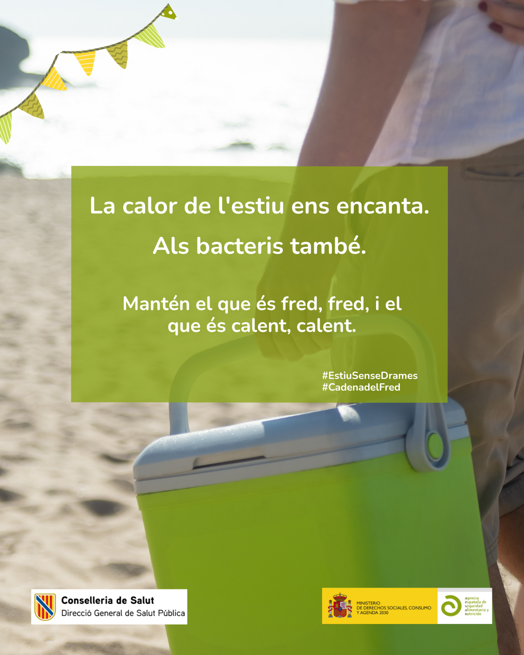 Imatge Infografia La calor de l'estiu ens encanta. Als bacteris tamb&eacute;
