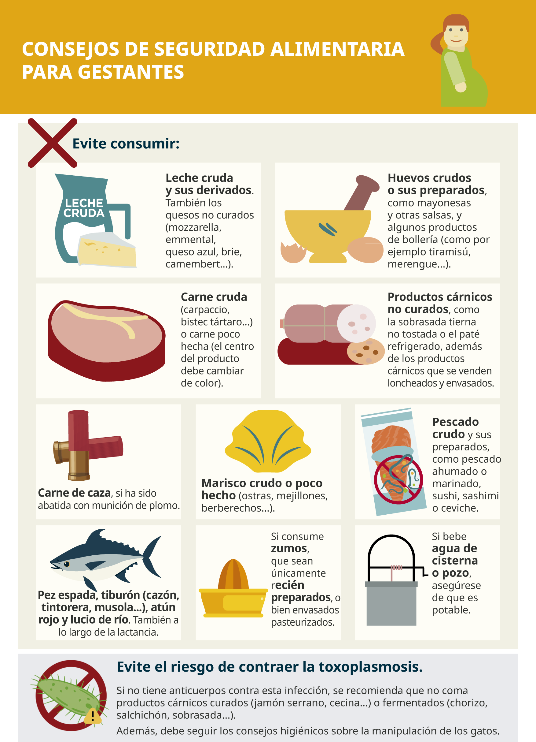 Imatge Consells de seguretat aliment&agrave;ria per a gestants