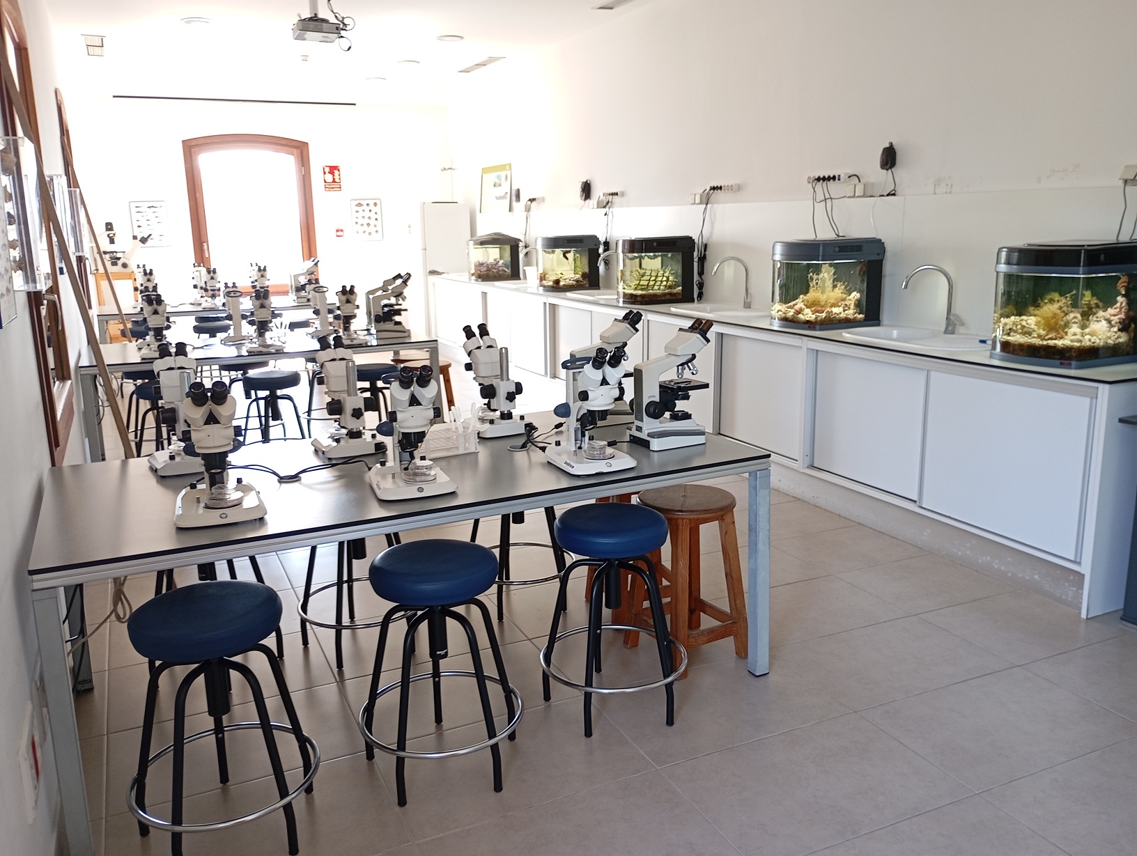 aula mar2.jpg