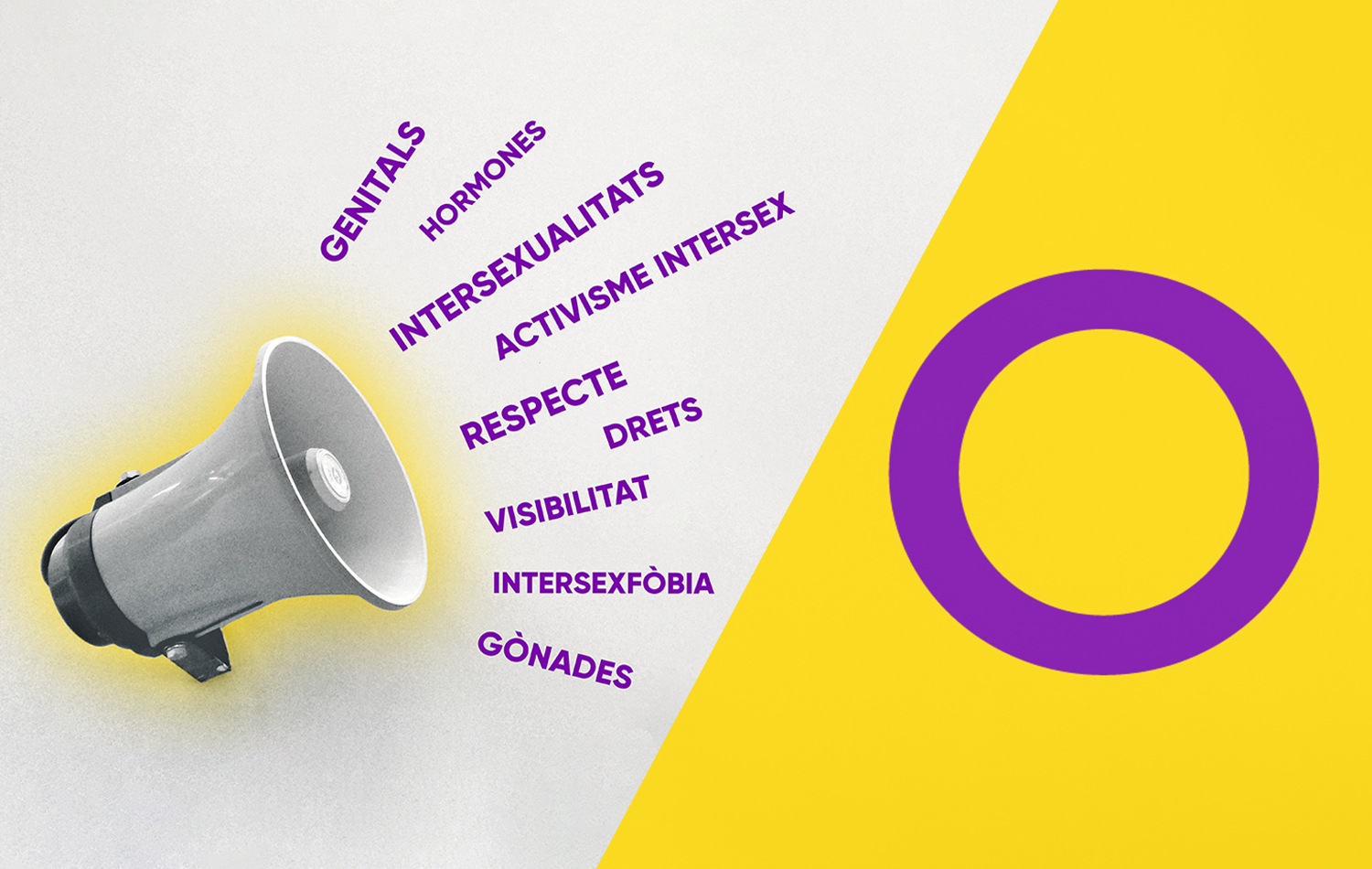 desc_Foto_altaveu_i_bandera_intersex.png