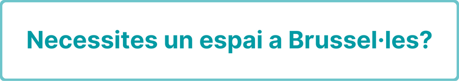 desc_ESPAI-BRU.png