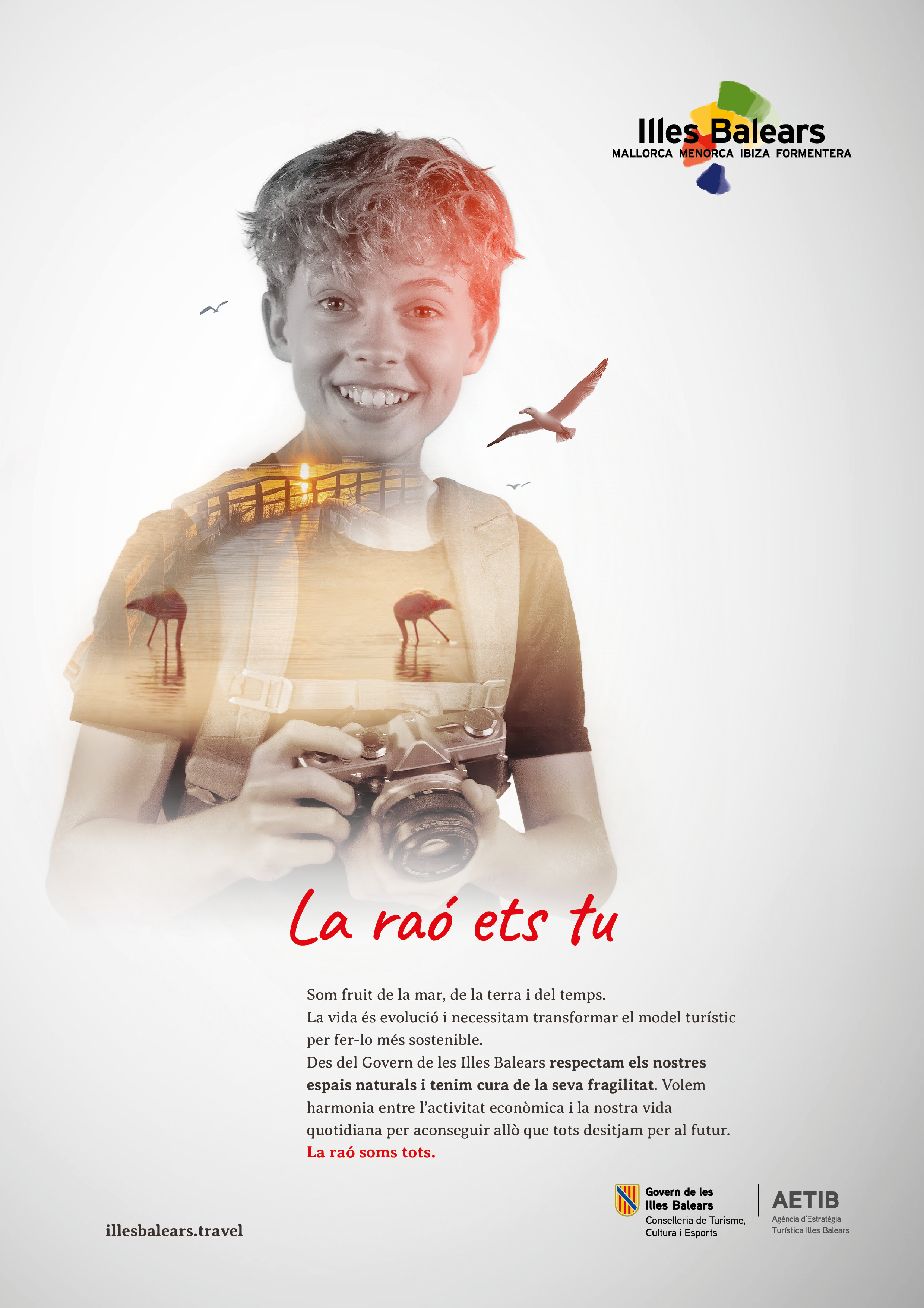 archivopub.do?ctrl=MCRST7105ZI535931&id=535931