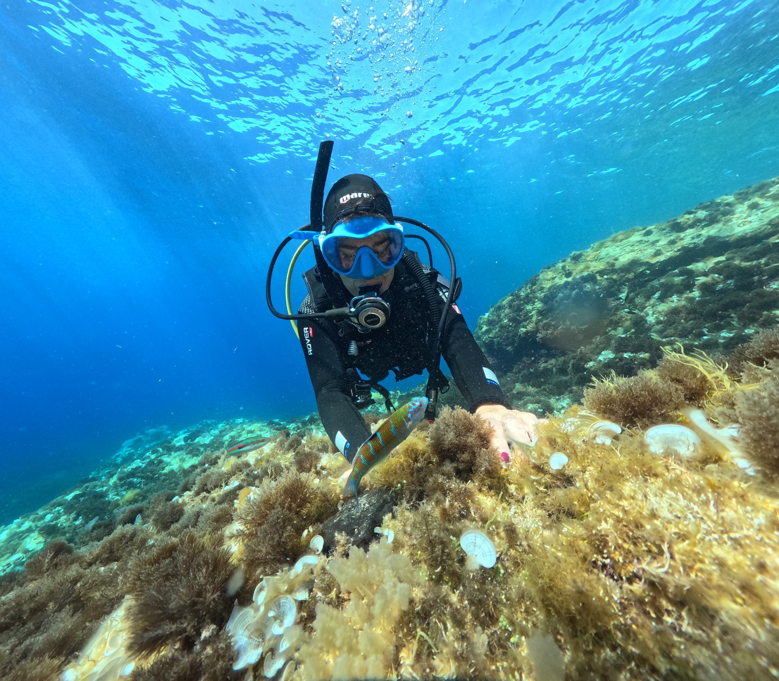  	archivopub.do?ctrl=MCRST7105ZI535879&id=535879