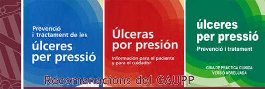 recomanacionsgaupp.jpg