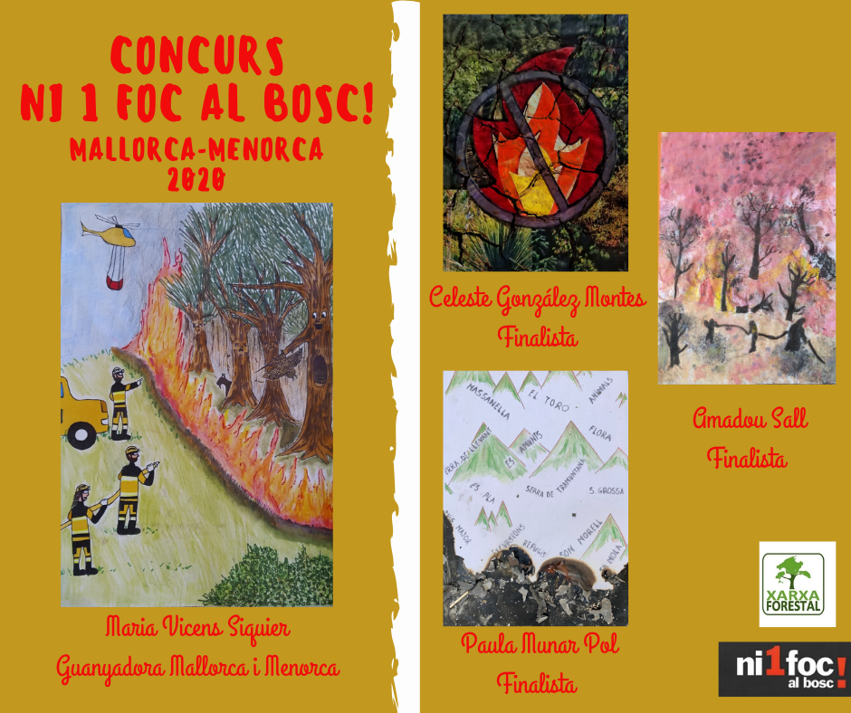 desc_concurs ni 1 foc al bosc Mallorca-Menorca 2020.png