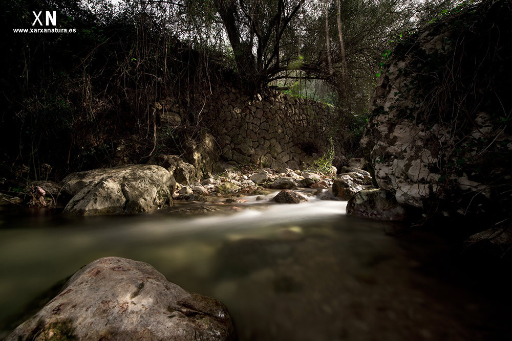 El torrent 1