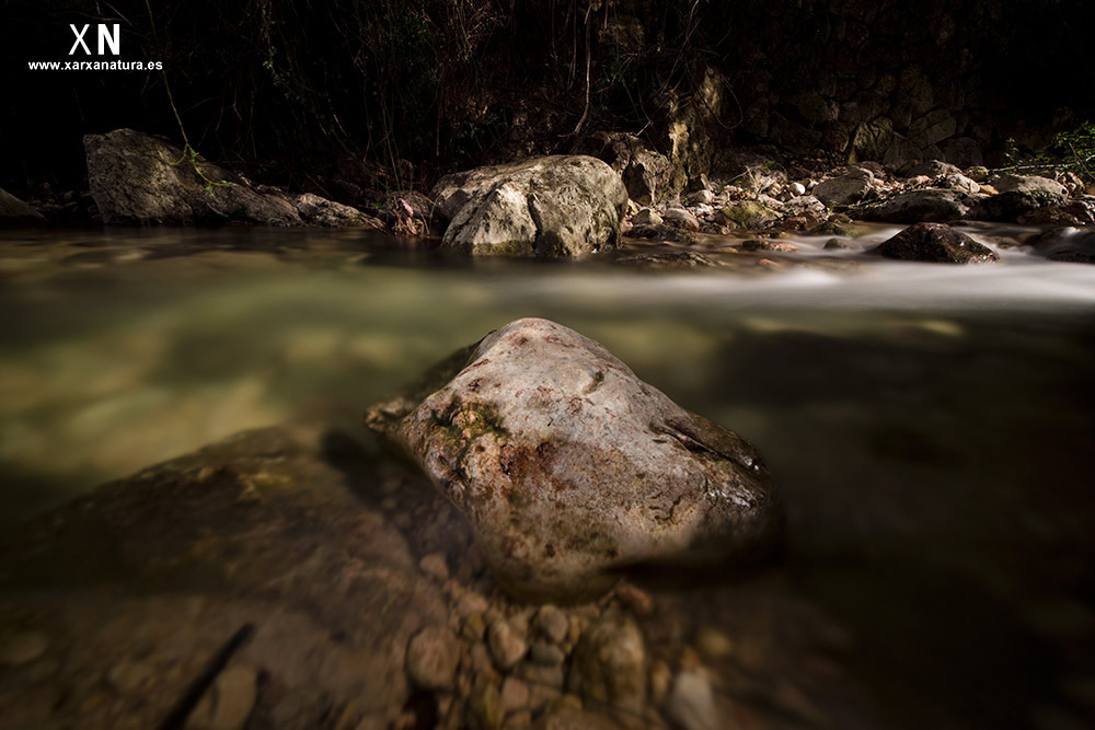 El torrent 2