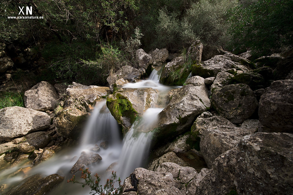 El torrent 3