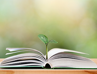 Libro con brote