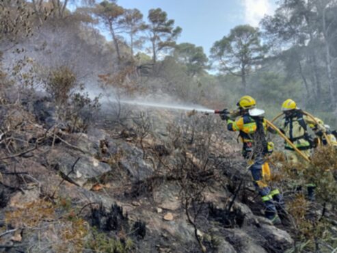 Perill alt d’incendis forestals