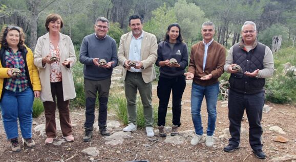 Alliberament una trentena d'exemplars de tortuga mora