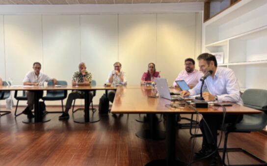 Grup de treball sobre Patrimoni Cultural del Pacte per la sostenibilitat econòmica, social i ambiental de les Illes Balears
