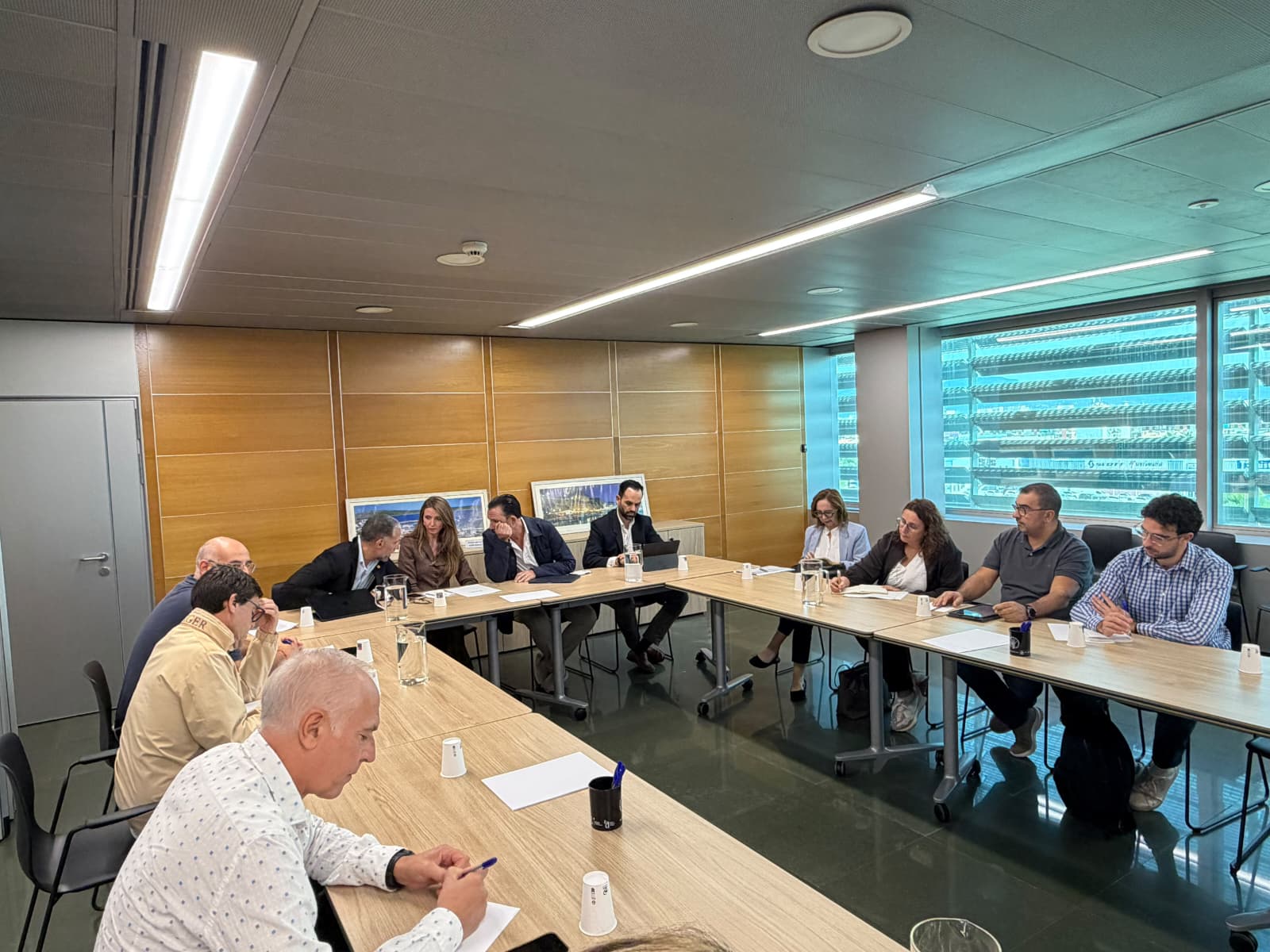 El Consell de la Indústria, reunit avui en sessió extraordinària a Palma
