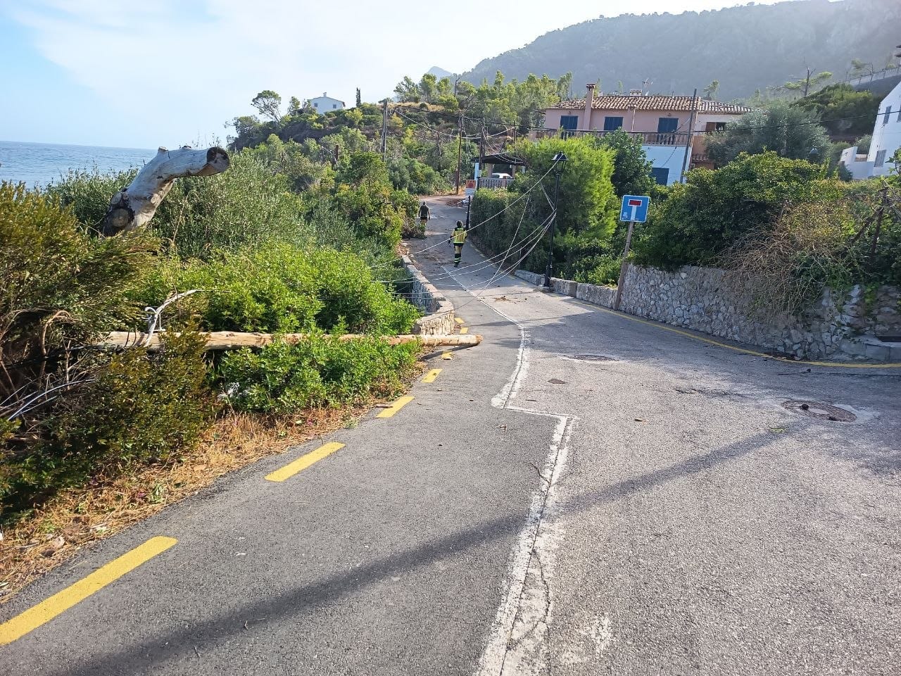 Pals de subministrament elèctric caiguts amb la tempesta damunt la carretera