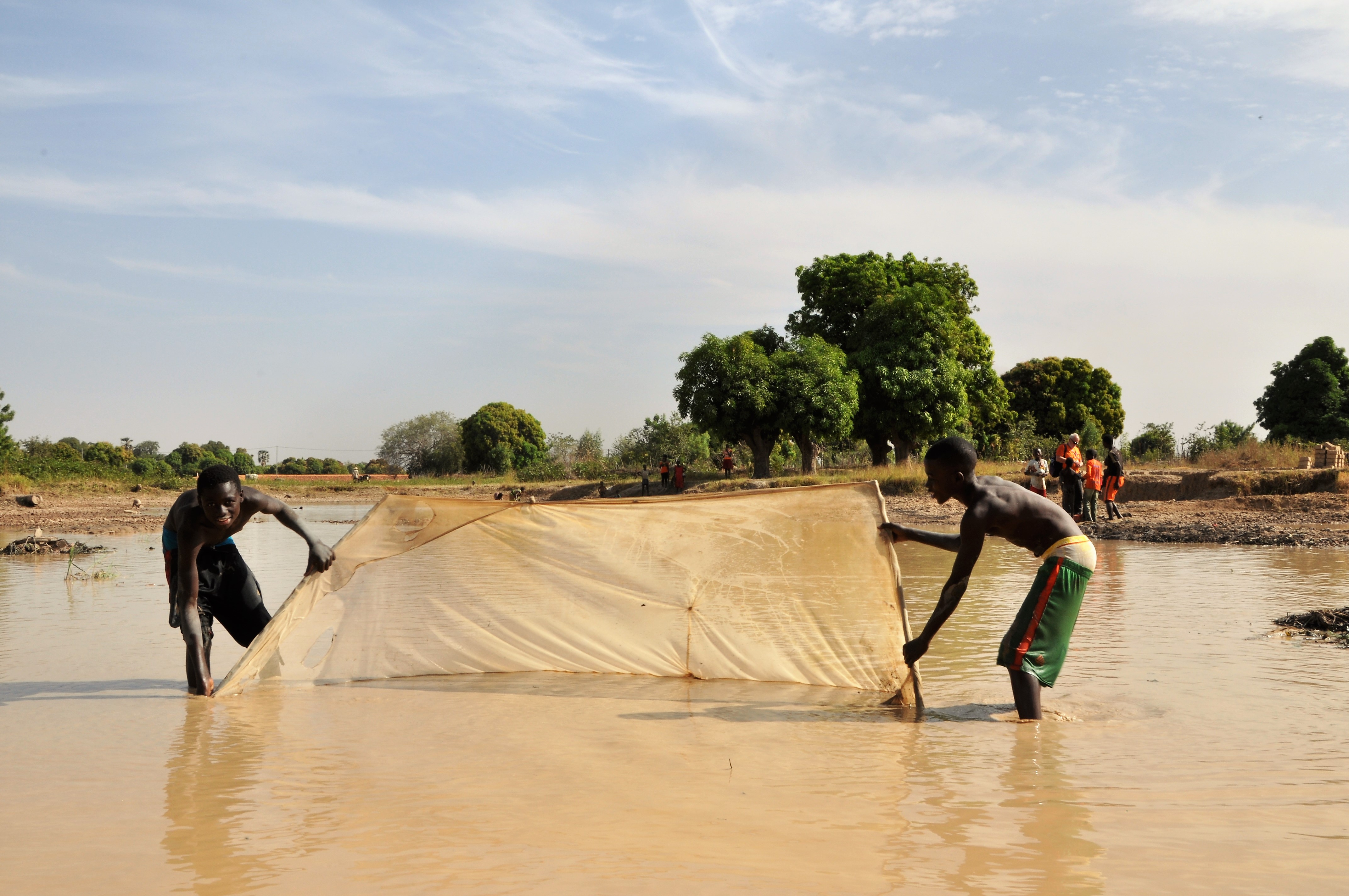 Persones fent feina dins una bassa d'aigua o riu