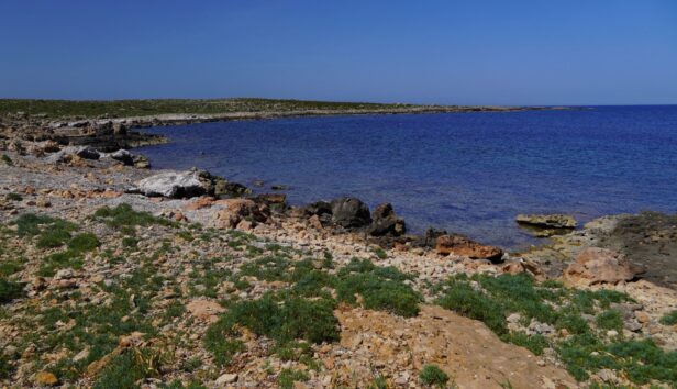 Litoral
