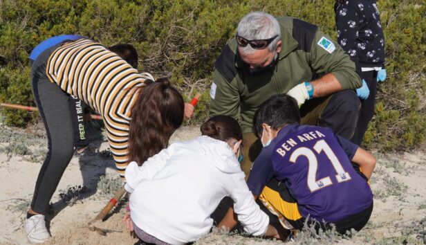Infants en un activitat ambiental
