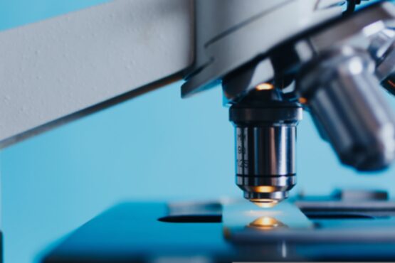 detall d'un microscopi