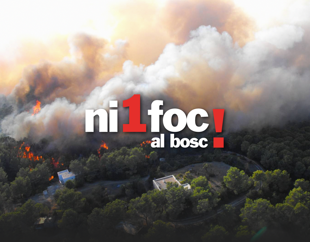 Ni 1 foc al bosc