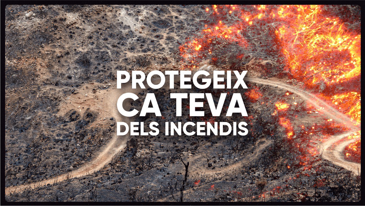 Bosc cremat pel foc