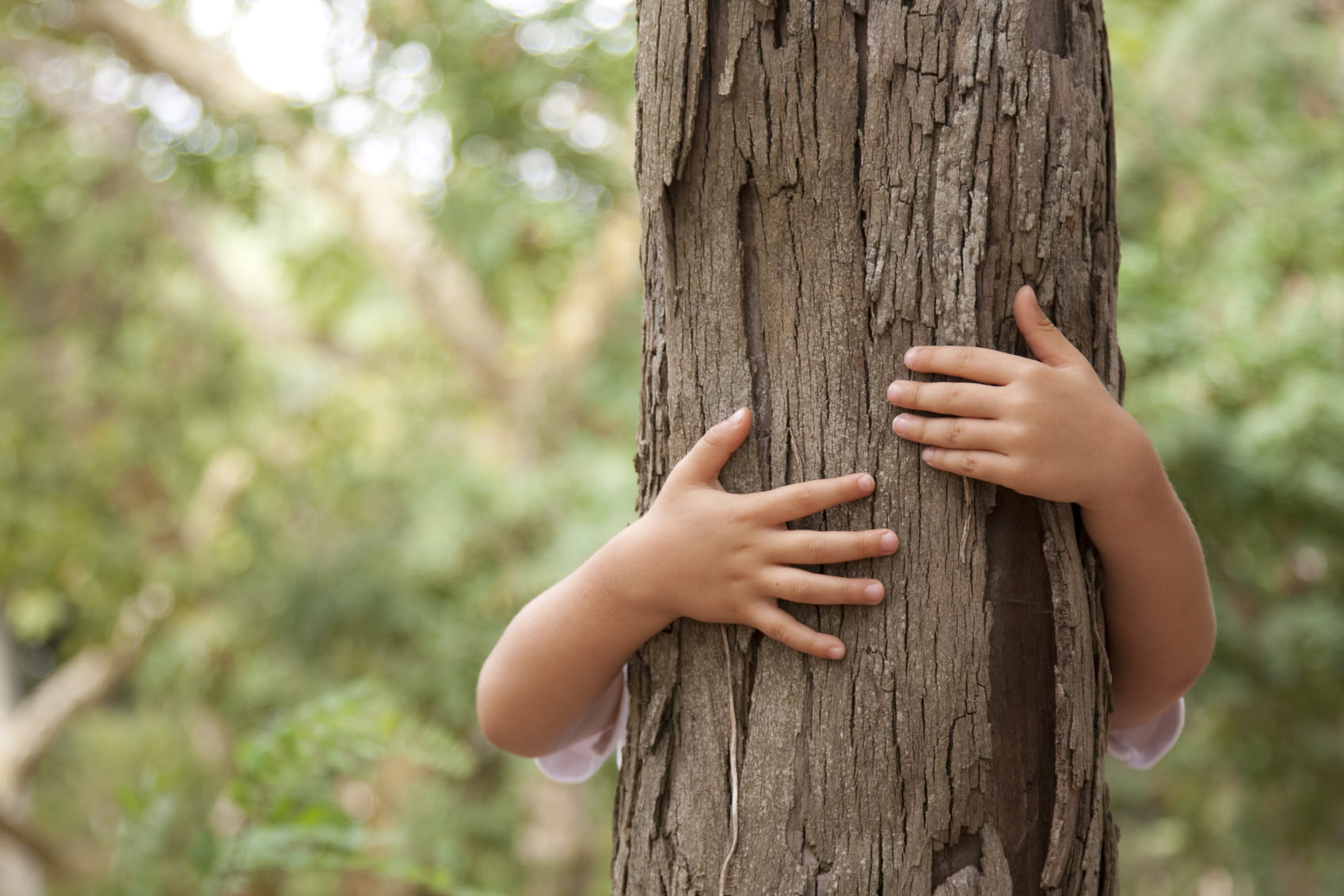 Mans d'infant abraçant un arbre