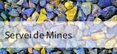 Servei mines 5636005ca