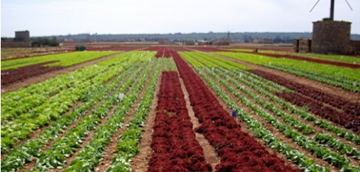 Pdr2020 Imatge d'un camp