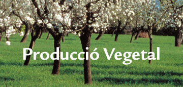 Produccio Vegetal