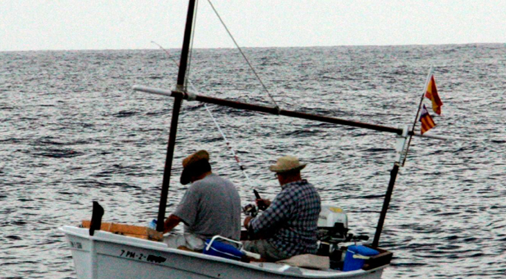 BannerFoto 02ca BannerFoto 02ca